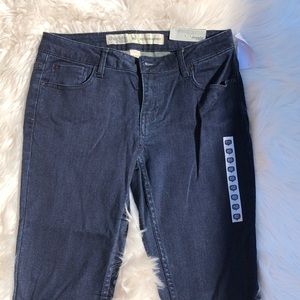 NWT Charlotte Russe extreme skinny jean